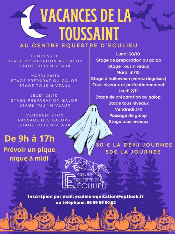 Stage d'équitation poney vacances Toussaint Saint-Etienne, St Étienne, Centre Équestre D’Éculieu